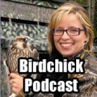 Birdchick Podcast cover