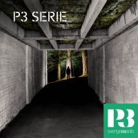 P3 Serie cover