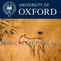 Living in the Stone Age cover
