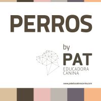PERROS cover
