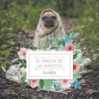 El Rincón de las Mascotas cover