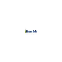 Podcast Bisarma Radio cover