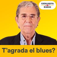 T'agrada el blues? cover