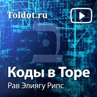 Рав Элиягу Рипс  — Коды в Торе cover