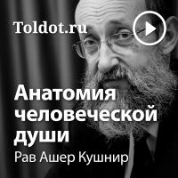 Рав Ашер Кушнир  — Анатомия человеческой души cover