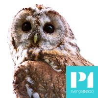 Vetenskapsradion cover