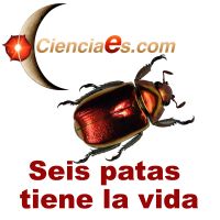 Seis patas tiene la vida - Cienciaes.com cover