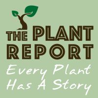 The Plant Report- Every Plant Has A Story cover