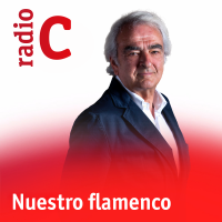 Nuestro flamenco cover