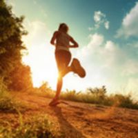 El Último Runner cover