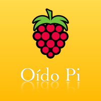Oído Pi cover