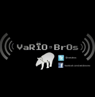 VarioBros cover