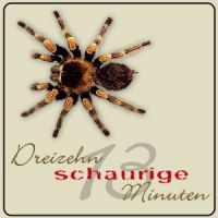 Dreizehn schaurige Minuten cover