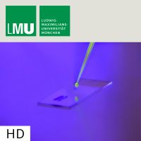 Photoswitches: A New Addition to the Molecular Toolkit – HD cover