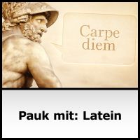 Pauk mit: Latein cover