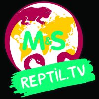 Reptil.TV cover