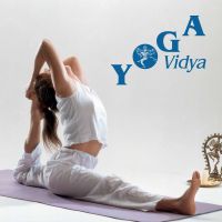 enthusiastisch-leben-podcast – Yoga Vidya Blog – Yoga, Meditation und Ayurveda cover