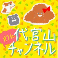 代官山 daikanyama 1Channel cover