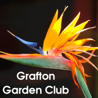 The Grafton Garden Club cover