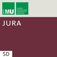 LMU Grundkurs Strafrecht I (L-Z) WS 2017/18 cover