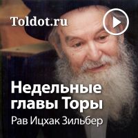 Рав Ицхак Зильбер — Недельные главы Торы cover