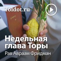 Рав Авраам Фридман  — Недельная глава Торы cover