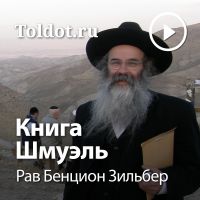 Рав Бенцион Зильбер  — Книга Шмуэль cover