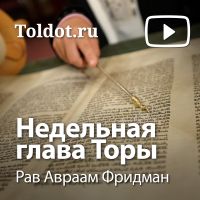 Рав Авраам Фридман  — Недельная глава Торы cover