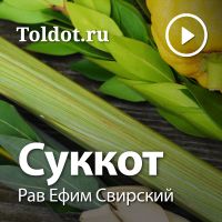 Рав Ефим Свирский  — Суккот cover