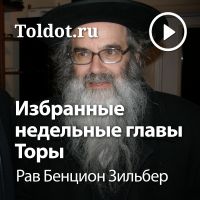 Рав Бенцион Зильбер  — Уроки по избранным недельным главам Торы cover