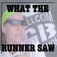 What the Runner Saw cover