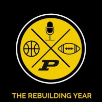 The Rebuilding Year cover