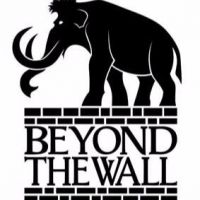 Beyond the Wall cover
