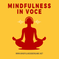 Mindfulness in Voce cover