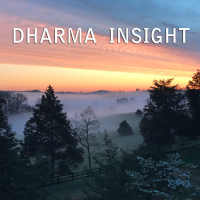 Dharma Insight | Insight Meditation Community of Charlottesville cover