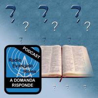 A DOMANDA RISPONDE cover