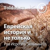 Рав Исроэль Зельман  — Еврейская история и не только cover