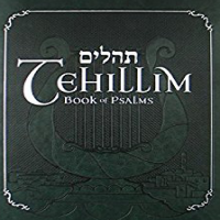 Tehillim (Psalms) Series with Rabbi Yosef Mitzrachi cover