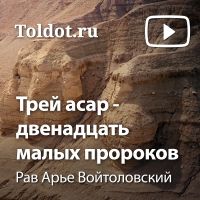 Рав Арье Войтоловский  — Трей асар — двенадцать малых пророков cover
