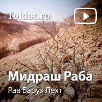 Рав Барух Лехт  — Мидраш Раба cover