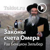 Рав Бенцион Зильбер  — Законы счета Омера cover