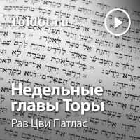 Рав Цви Патлас  — Недельные главы Торы cover