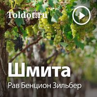 Рав Бенцион Зильбер  — Шмита cover