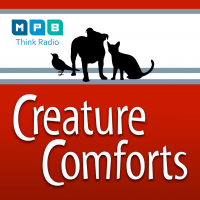 Creature Comforts cover