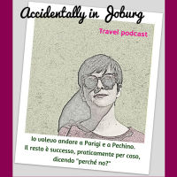 Accidentally in Joburg cover