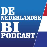 De Nederlandse BI Podcast cover