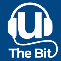 The Bit cover