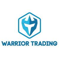 Warrior Trading | Strategies & Analysis from Successful Traders cover