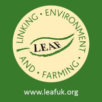 leafcast cover