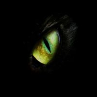 The Caravan, Library of Lore Podcast cover